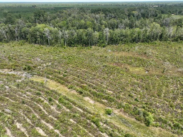 a view of a city with lots of green space