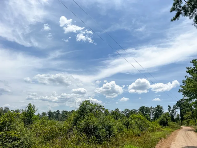 a view of a city with lots of green space