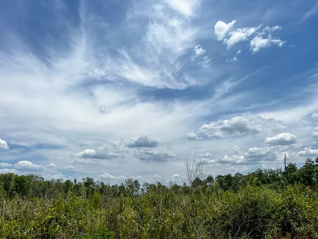 a view of lake with green space