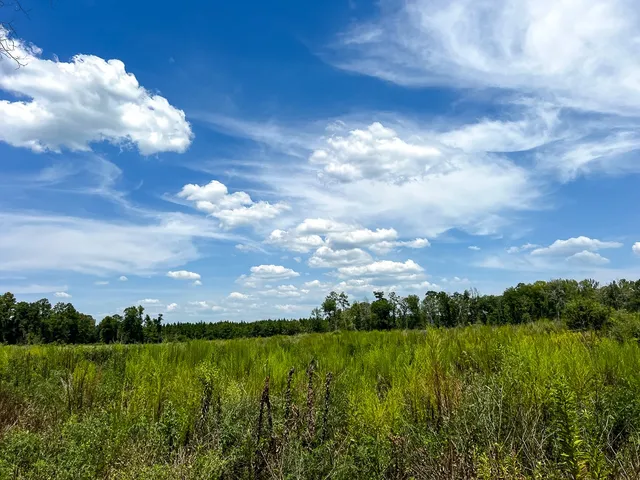 a view of a lake with a city