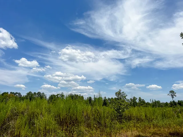 a view of lake with mountain
