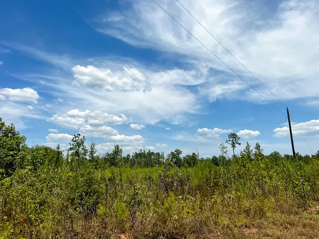 a view of a lake with a yard