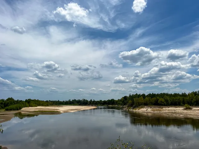 a view of a lake in between the field and trees