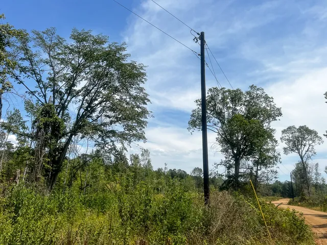 $267,200 | 1 County Road 4085, Bon Wier, TX 75928