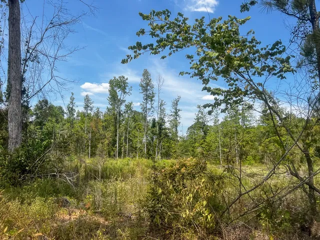 $267,200 | 1 County Road 4085, Bon Wier, TX 75928