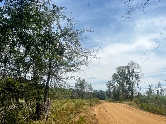 $267,200 | 1 County Road 4085, Bon Wier, TX 75928