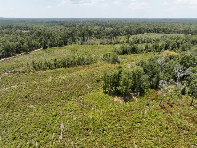 a view of a lush green outdoor space with a lake view