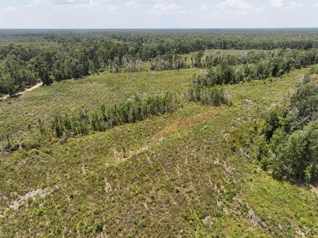 a view of a field with an ocean view