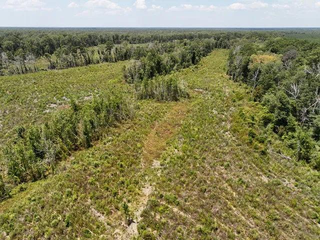 a view of an ocean and beach