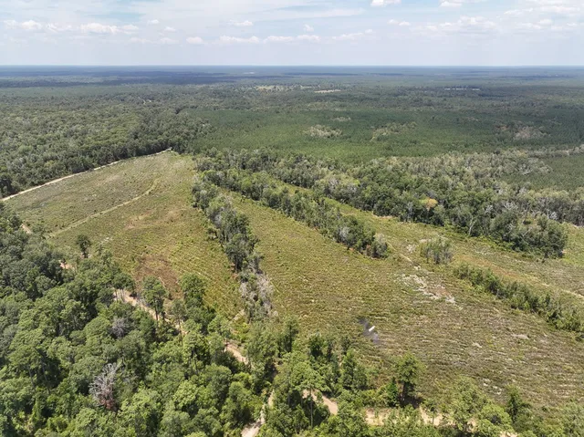 a view of a lake from a yard