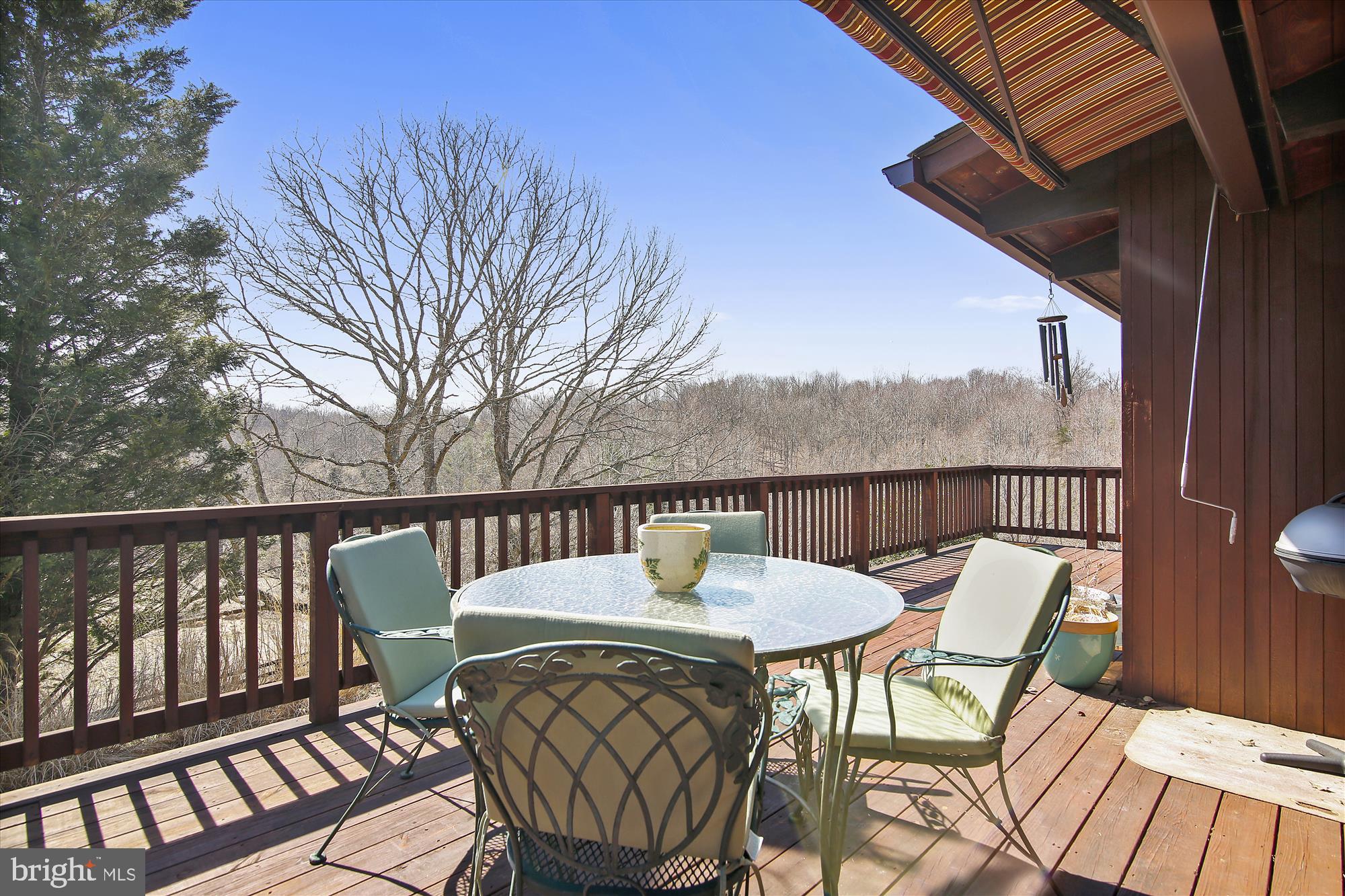 9024 Fletchers Mill Road Marshall, VA 20115 - Photo 23 of 57 Deck access from main level living & family rooms