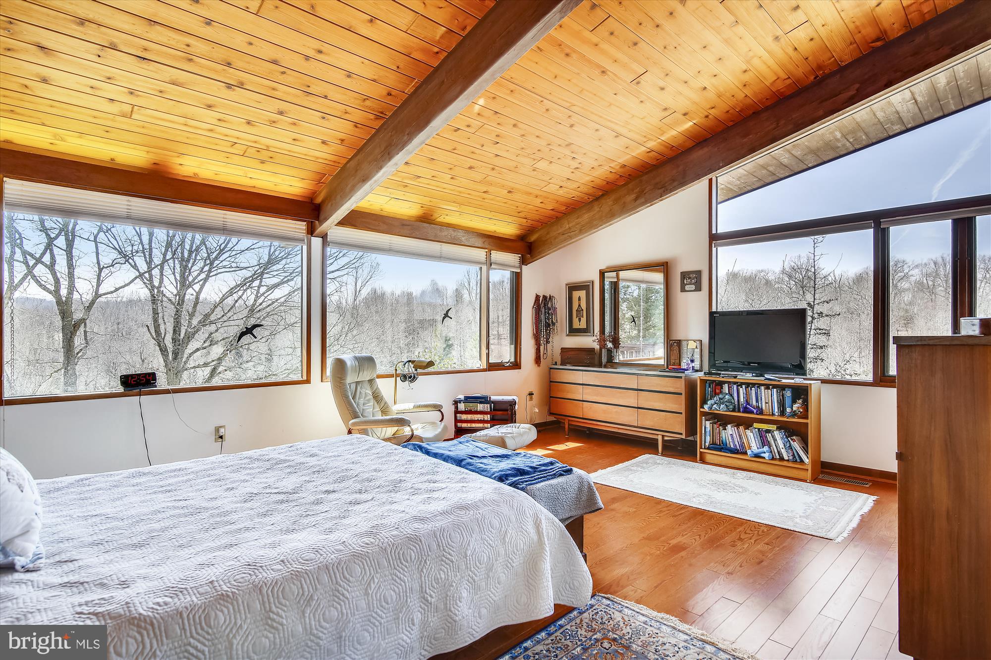9024 Fletchers Mill Road Marshall, VA 20115 - Photo 26 of 57 Master bedroom w/vaulted ceiling and views