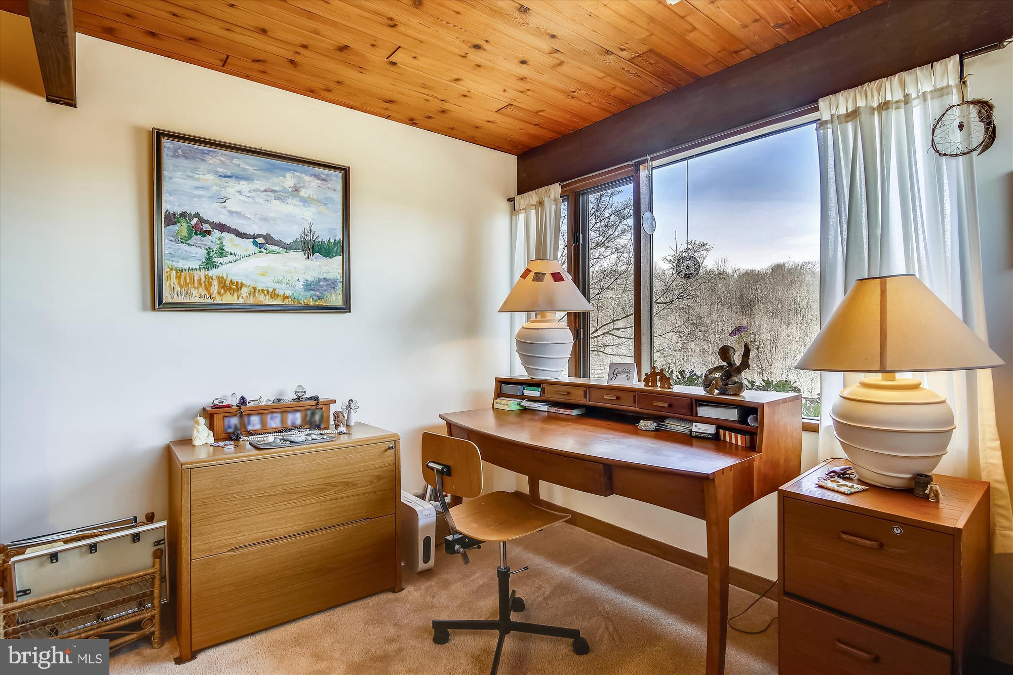 9024 Fletchers Mill Road Marshall, VA 20115 - Photo 43 of 57 Lower level 2nd bedroom with stunning views