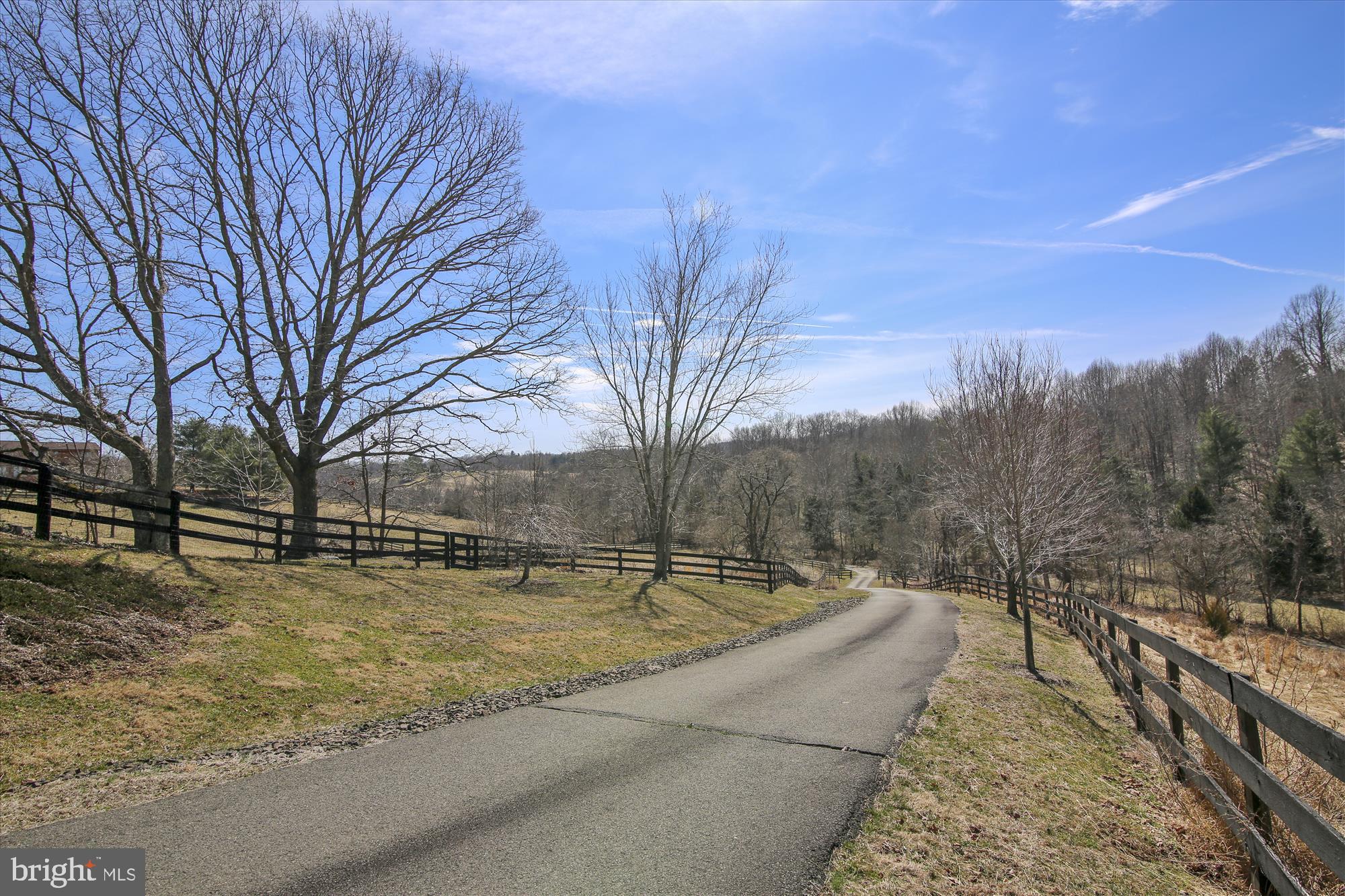 9024 Fletchers Mill Road Marshall, VA 20115 - Photo 45 of 57 Looking down drive from house
