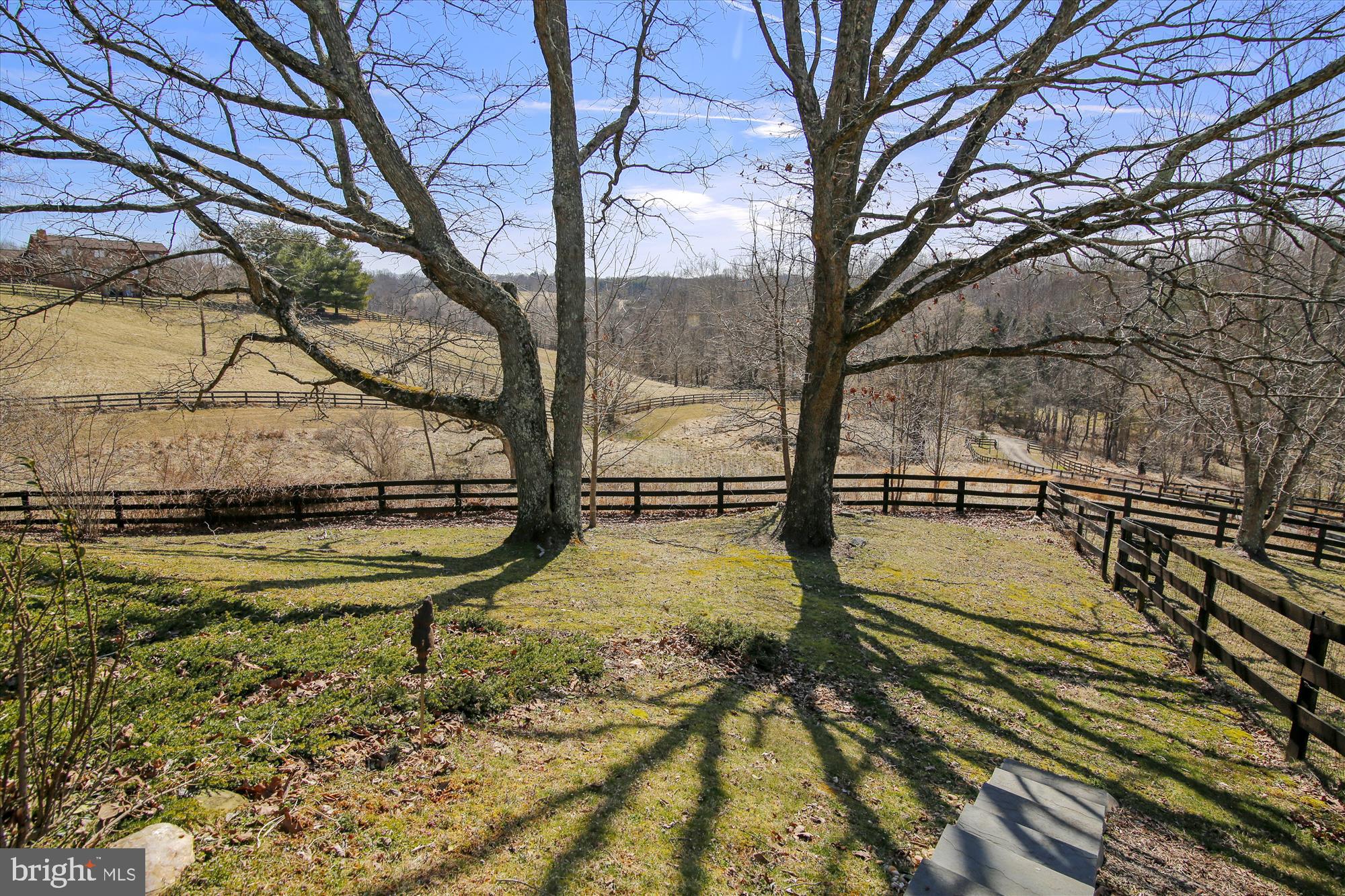 9024 Fletchers Mill Road Marshall, VA 20115 - Photo 55 of 57 View of land from house