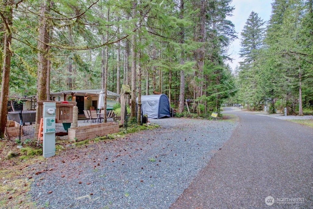 3-2 Wilderness Way Maple Falls, WA 98266 - Photo 32 of 39 a view of road with large trees