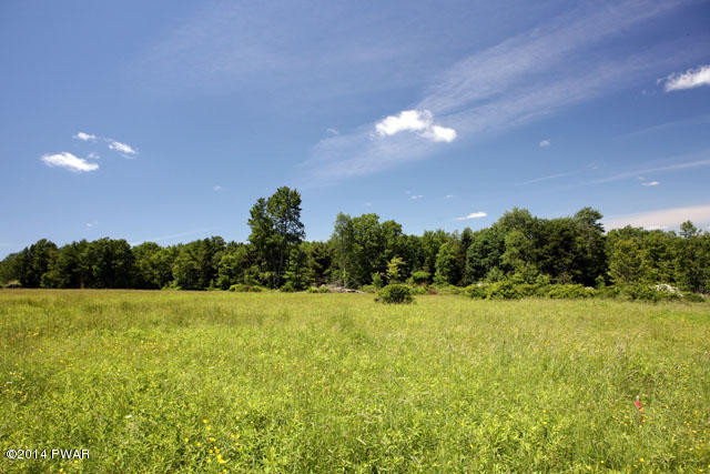 New Turnpike Road Cochecton, NY 12726 - Photo 6 of 9