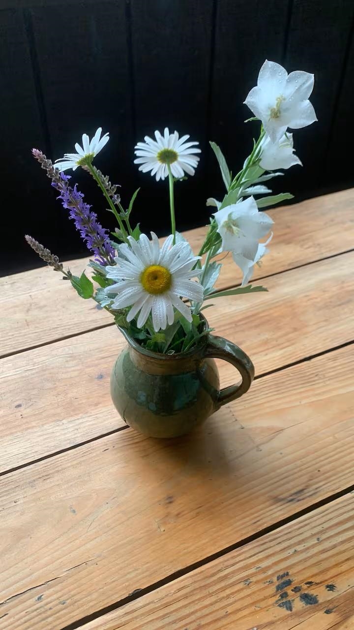 59 Indian Point Road Hebron, NH 03241 - Photo 6 of 20