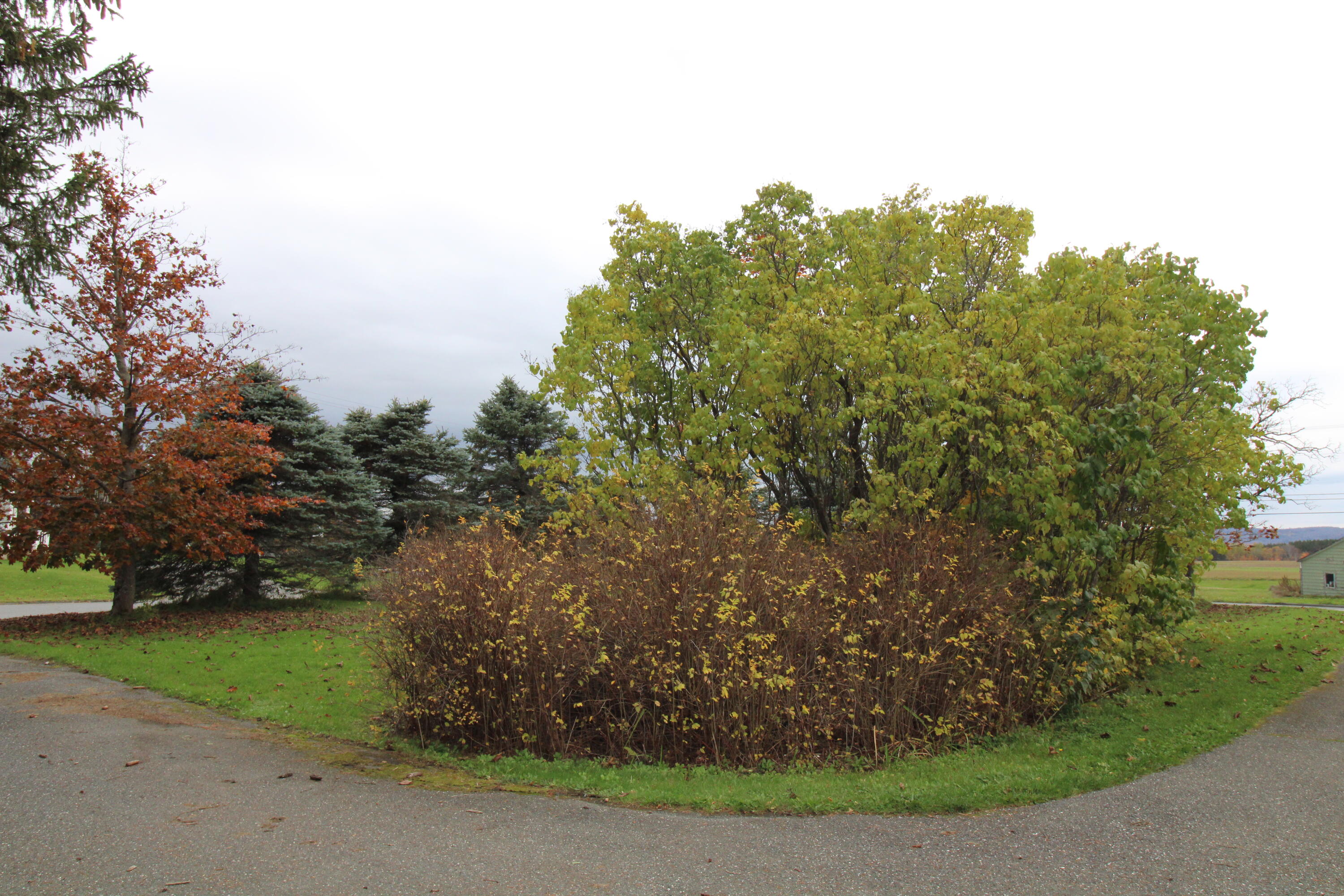 171 Caribou Road Presque Isle, ME 04769 - Photo 29 of 29 IMG_1127 (1)