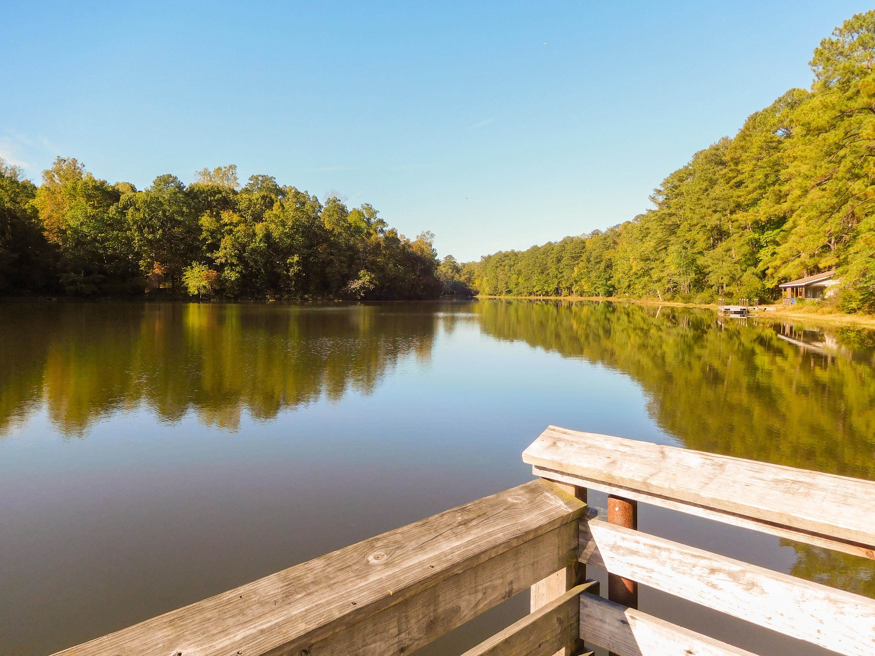 8213 Merriweather Circle Raleigh, NC 27616 - Photo 20 of 23 Convenient to Durant Rd Nature Park
