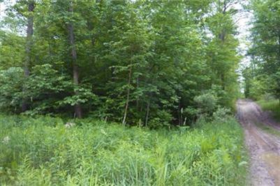 40 Reaves Road Curran, MI 48728 - Photo 1 of 6 Primary Photo