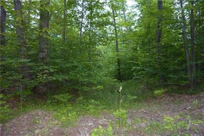 40 Reaves Road Curran, MI 48728 - Photo 2 of 6 Additional Photo