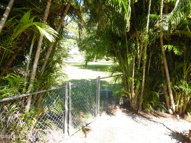 a view of a park with large trees