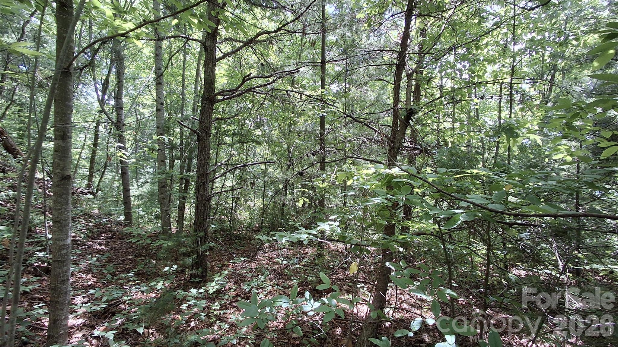 112 Kako Ridge, Unit 59 Sylva, NC 28779 - Photo 17 of 18