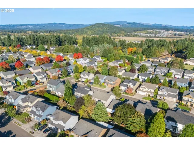 a view of city and mountain