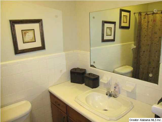 56 Brickstore Road Eastaboga, AL 36260 - Photo 14 of 27