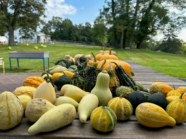 $1,395,000 | 2948 Highway 94, Chester, NY 10918