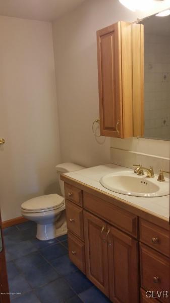 1412 Kroucher Road Stroudsburg, PA 18360 - Photo 33 of 40 a bathroom with a toilet a sink and mirror
