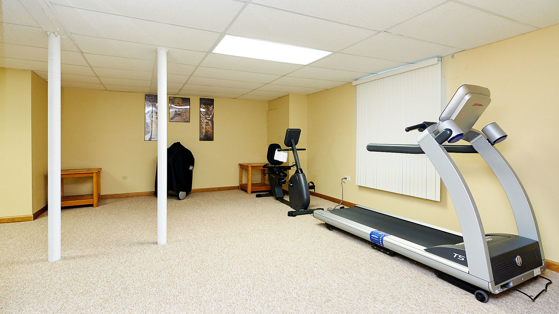 1989 West Cobblestone Road, Unit 1989 Romeoville, IL 60446 - Photo 35 of 51 a view of gym equipment