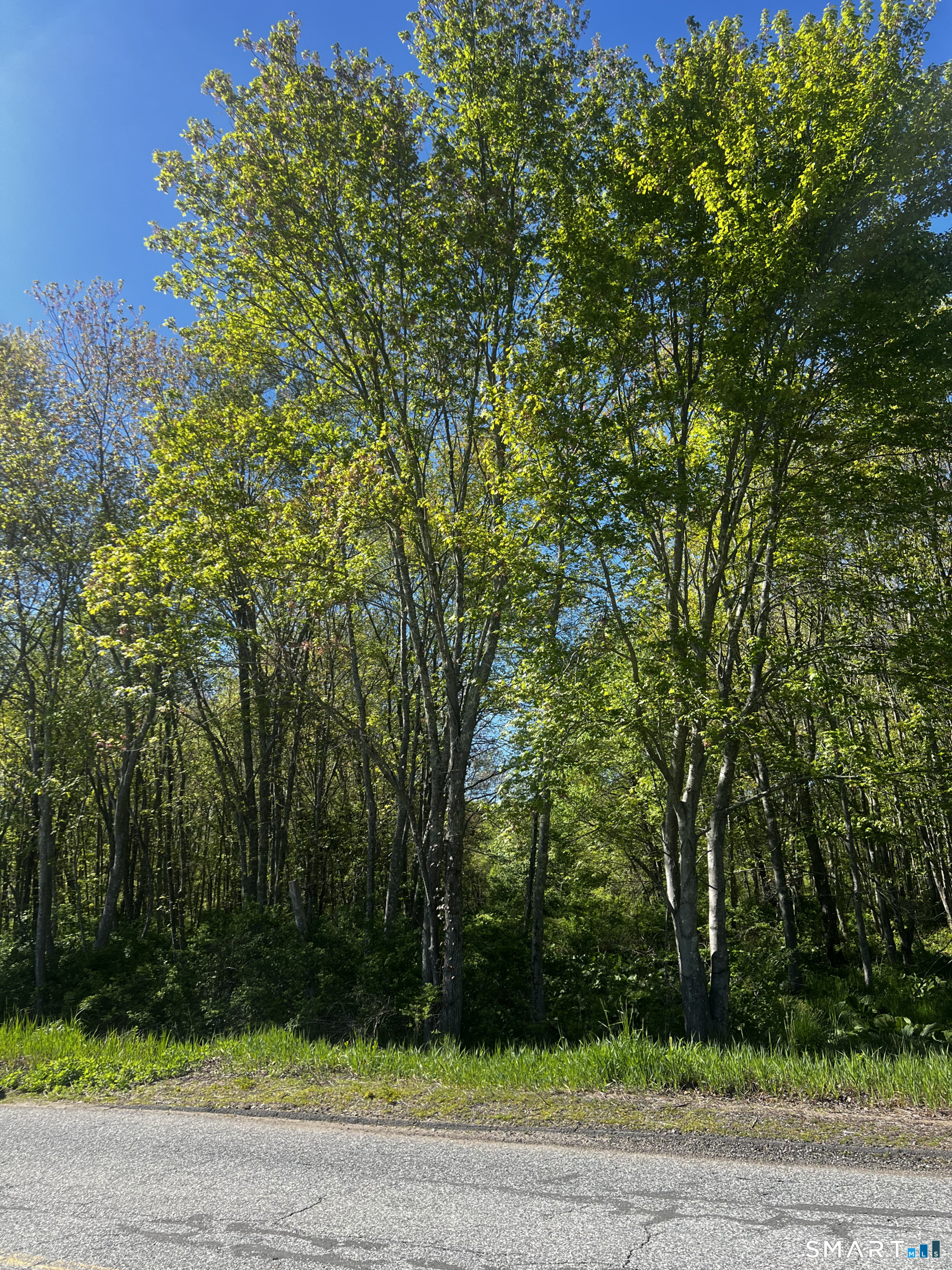 408 Martin Road Hebron, CT 06248 - Photo 2 of 6 a view of a yard