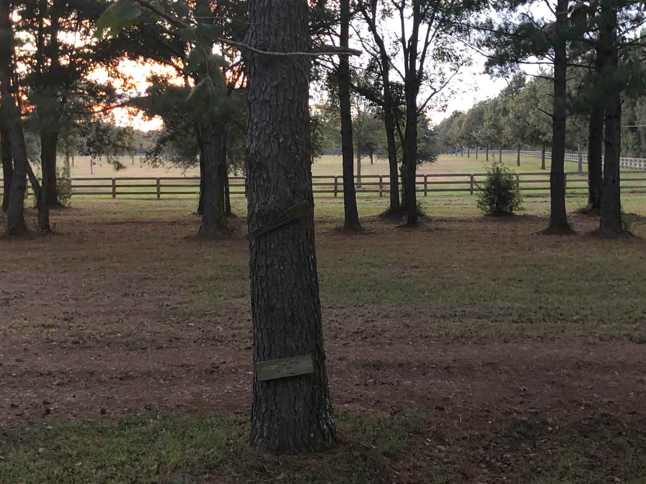 7532 Rabbit Run Road Fairhope, AL 36532 - Photo 22 of 22