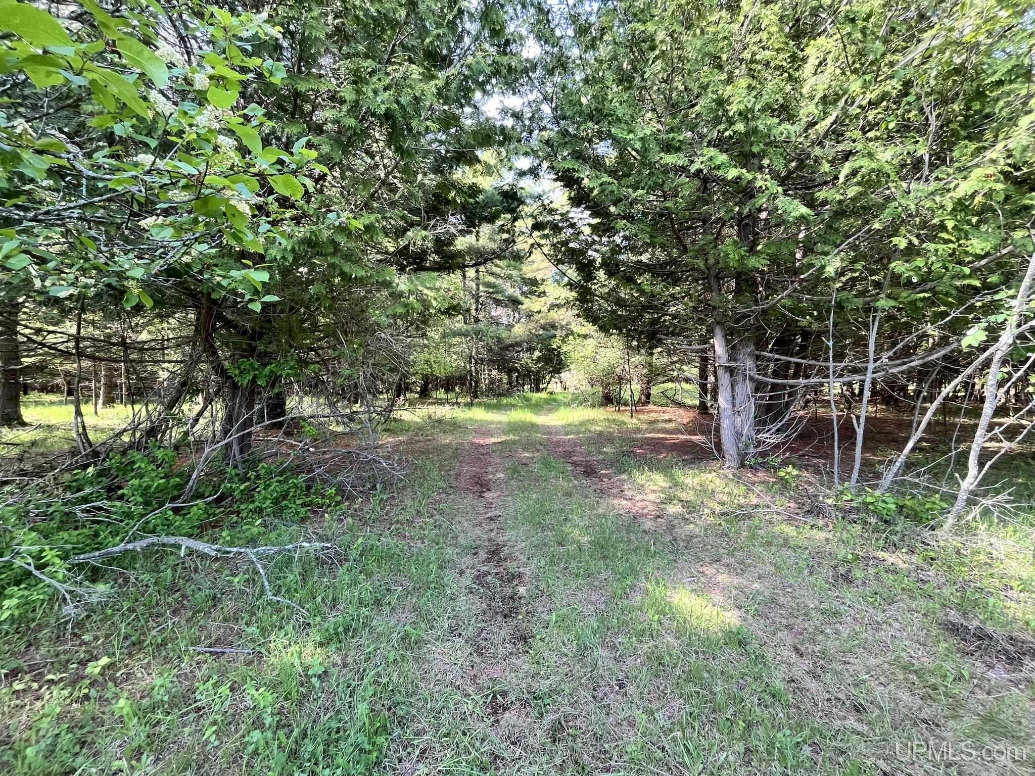 Tbd 16th Road Garden, MI 49835 - Photo 31 of 37