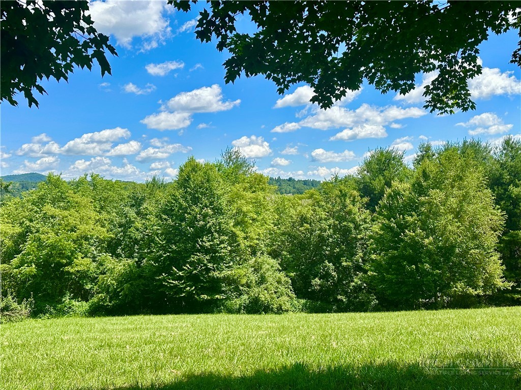 Pinnacle Ridge Road Jefferson, NC 28640 - Photo 2 of 13