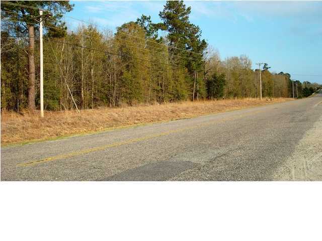 0 Mt Carmel Road, Unit B Walterboro, SC 29488 - Photo 3 of 4 Additional Photo