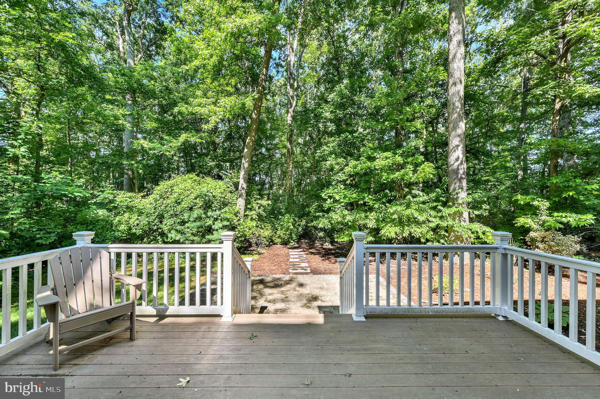 176 Burning Tree Road Dover, DE 19904 - Photo 5 of 33 Serene deck overlooking lush greenery.