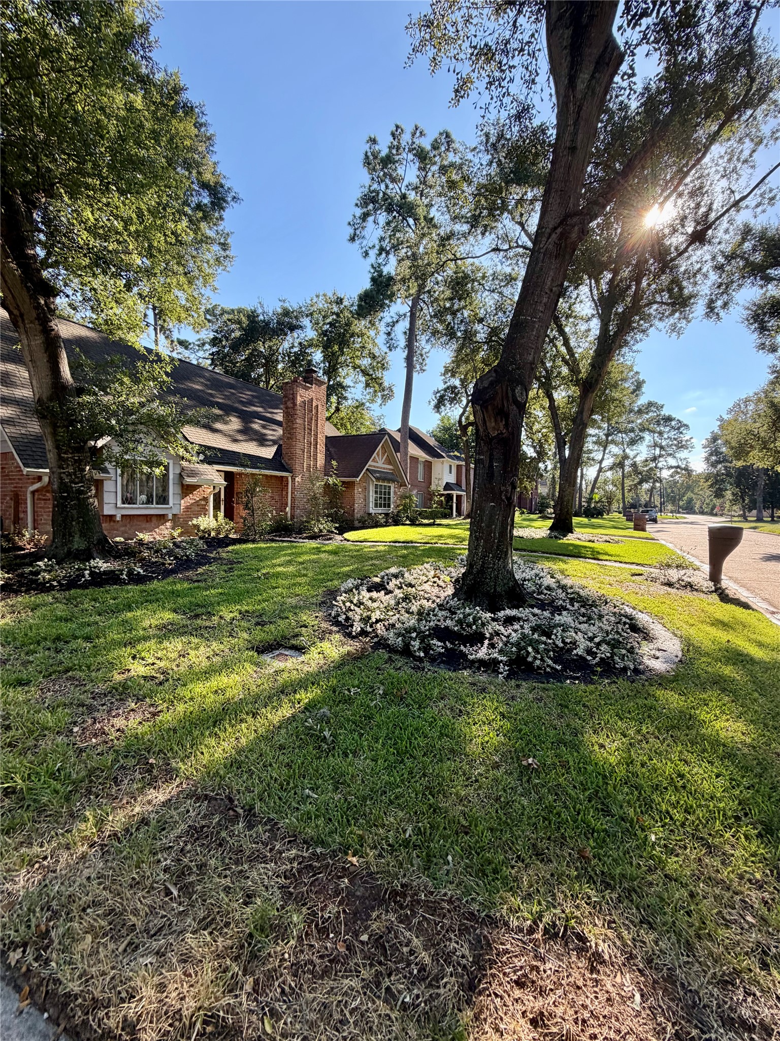 5927 Theall Road Houston, TX 77066 - Photo 23 of 24 Street view.