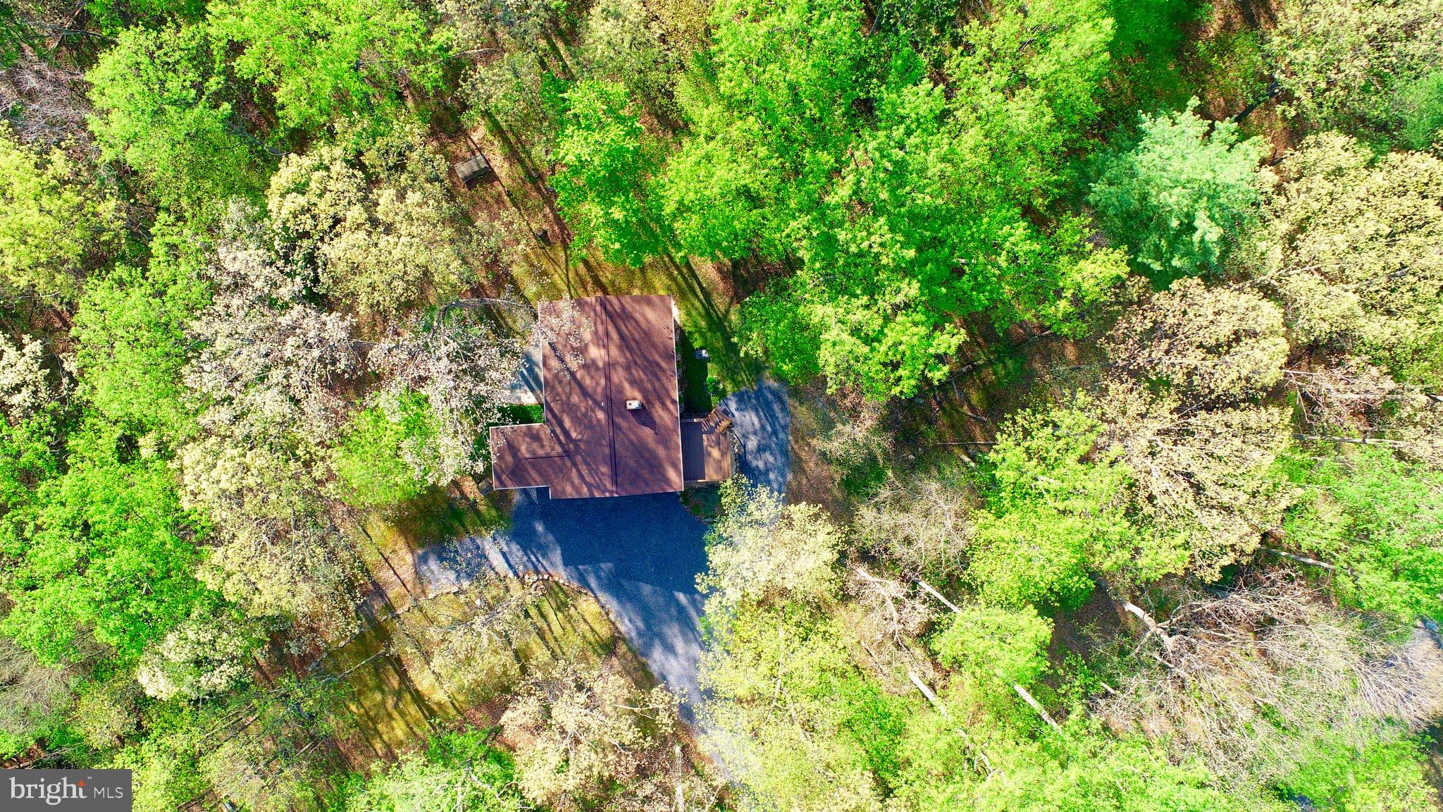 3098 Whitesel Road James Creek, PA 16657 - Photo 9 of 34