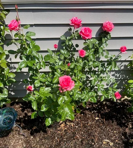 $380,000 | 320 Sussex Lane, North Aurora, IL 60542