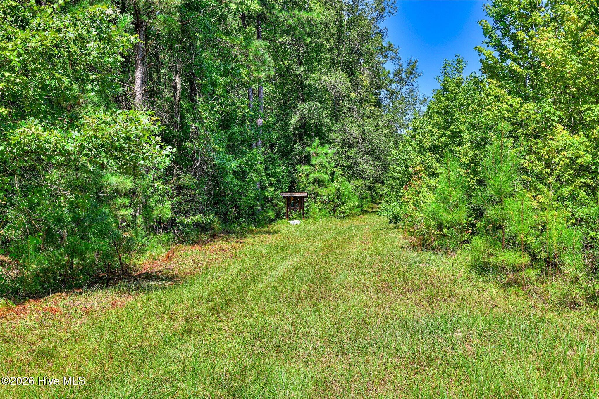 170 Landing Road Jackson, SC 29831 - Photo 29 of 76 Gallery Image 29