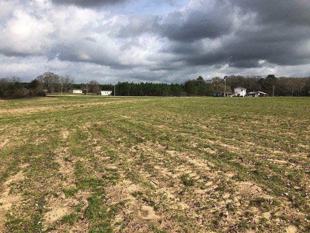 18.2-ac County Line Loop Opp, AL 36467 - Photo 3 of 7 Gallery Image 3