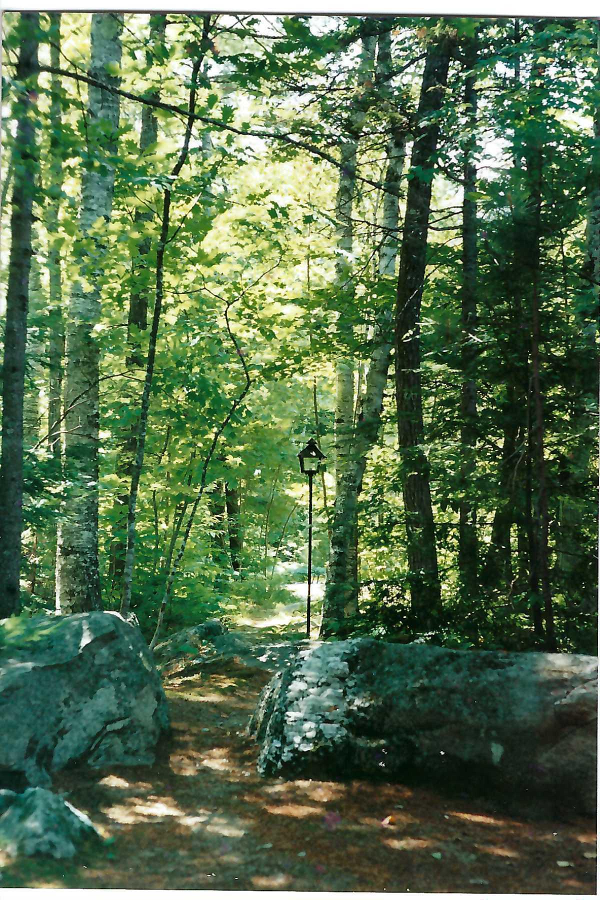 21 Lily Cove Road Lovell, ME 04051 - Photo 26 of 28 Path by big camp