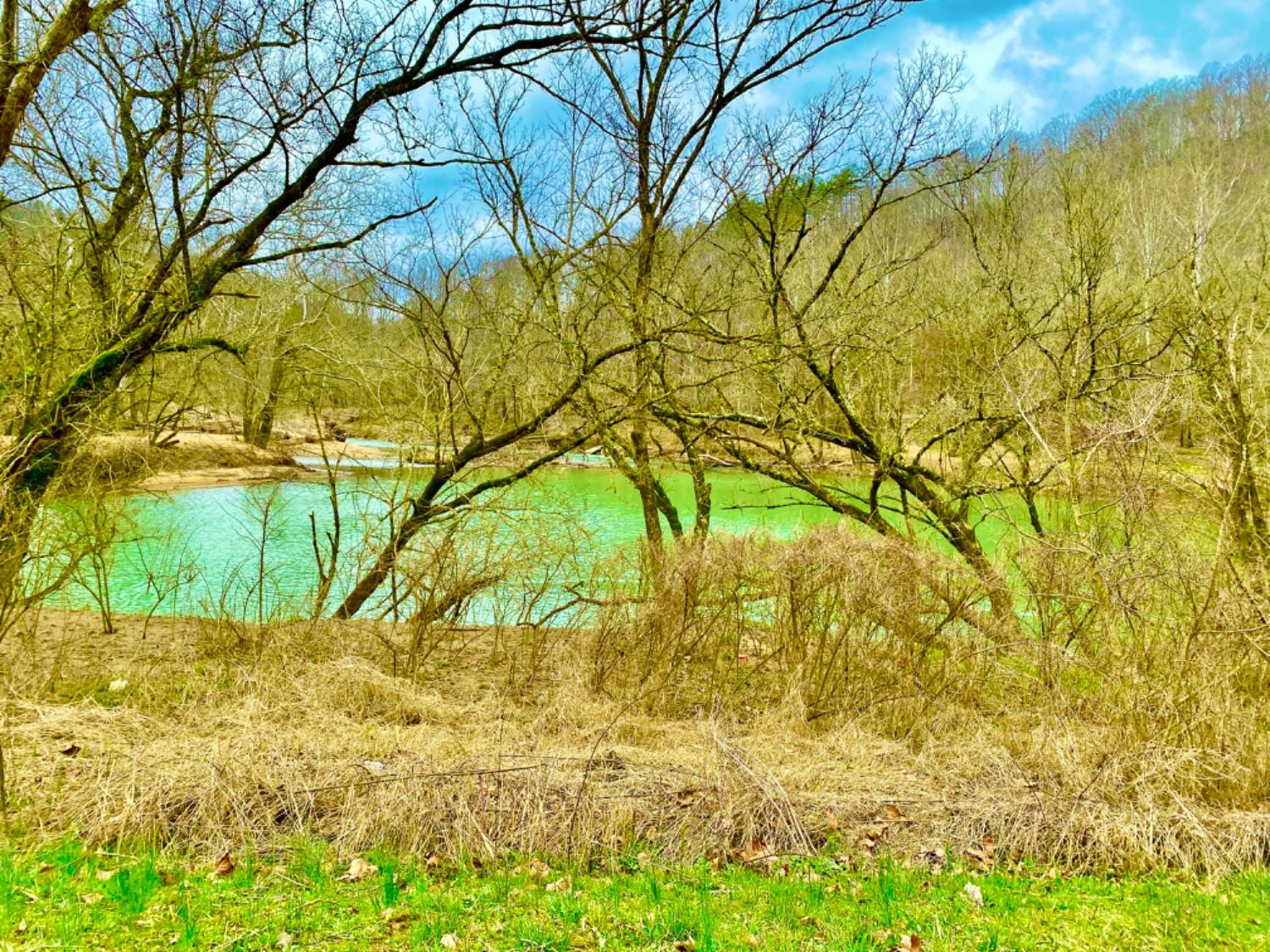 999 South Upper River Road Livingston, KY 40445 - Photo 2 of 11 Photo 2