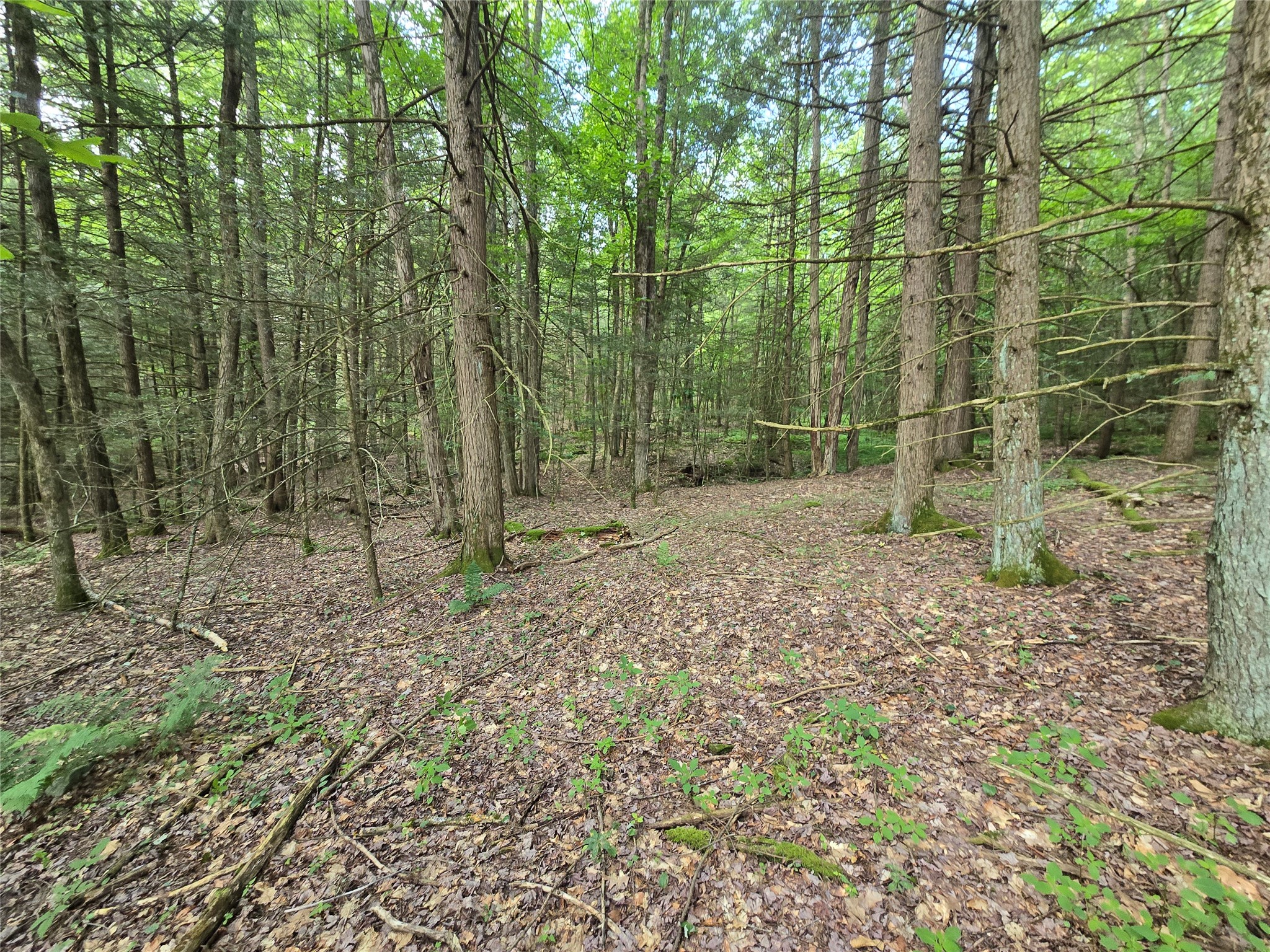 143 Swift Road, Unit 3 Binghamton, NY 13905 - Photo 28 of 31 Gallery Image 28