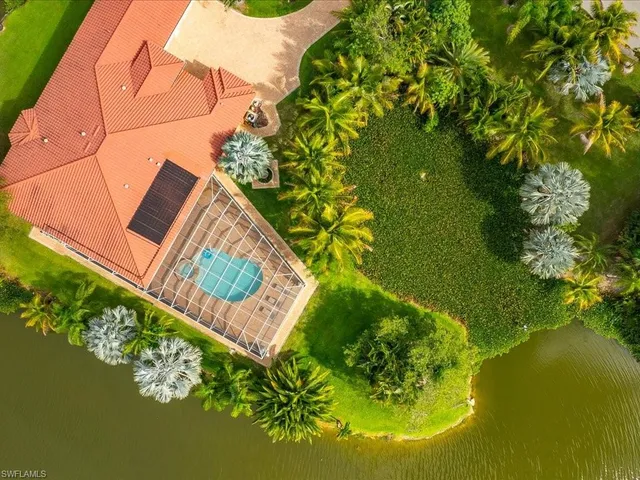 a blue swimming pool with a garden view