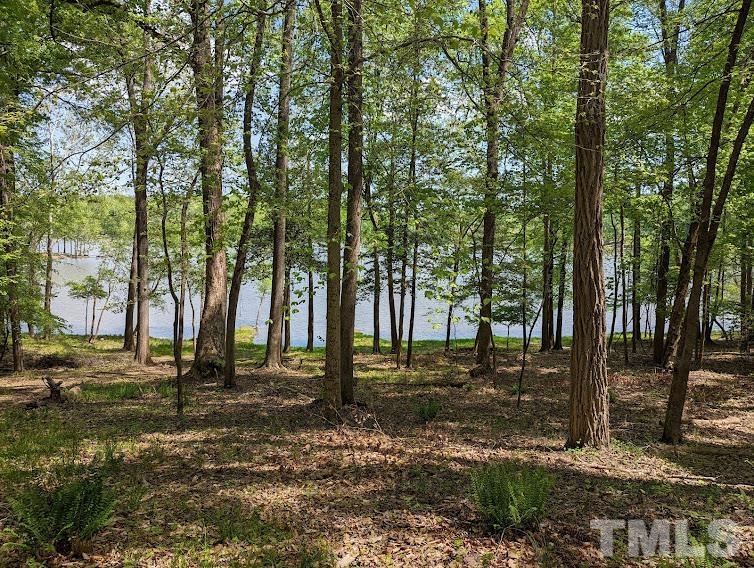 Ivy Hill Road Clarksville, VA 23927 - Photo 15 of 25 a backyard of a house with lots of green space