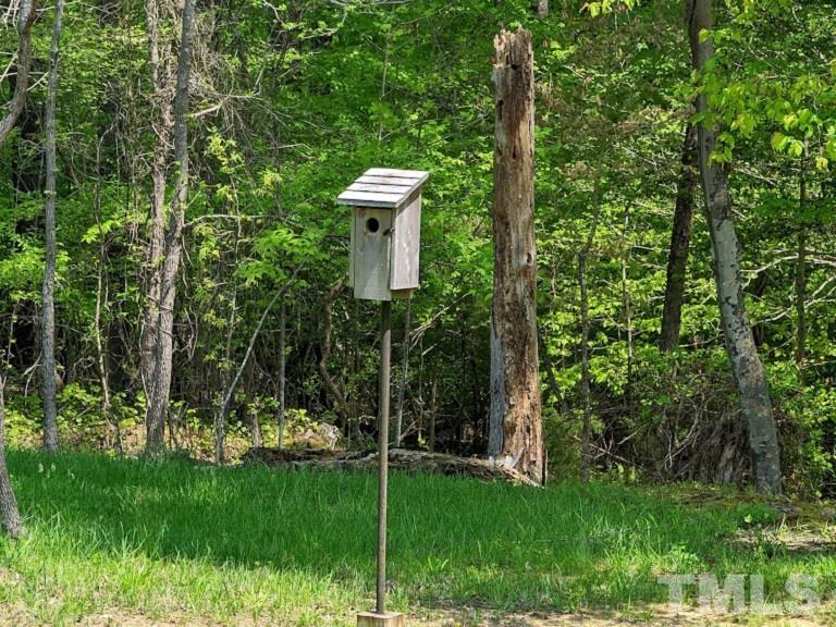 Ivy Hill Road Clarksville, VA 23927 - Photo 16 of 25 a view of a backyard